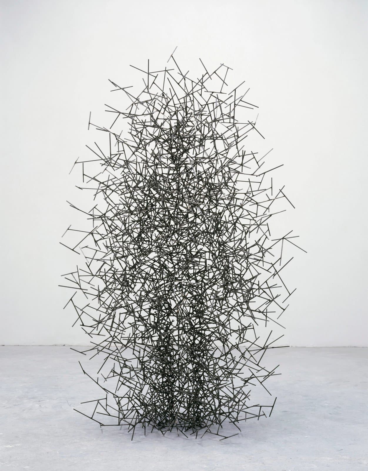 Quantum Cloud XIII