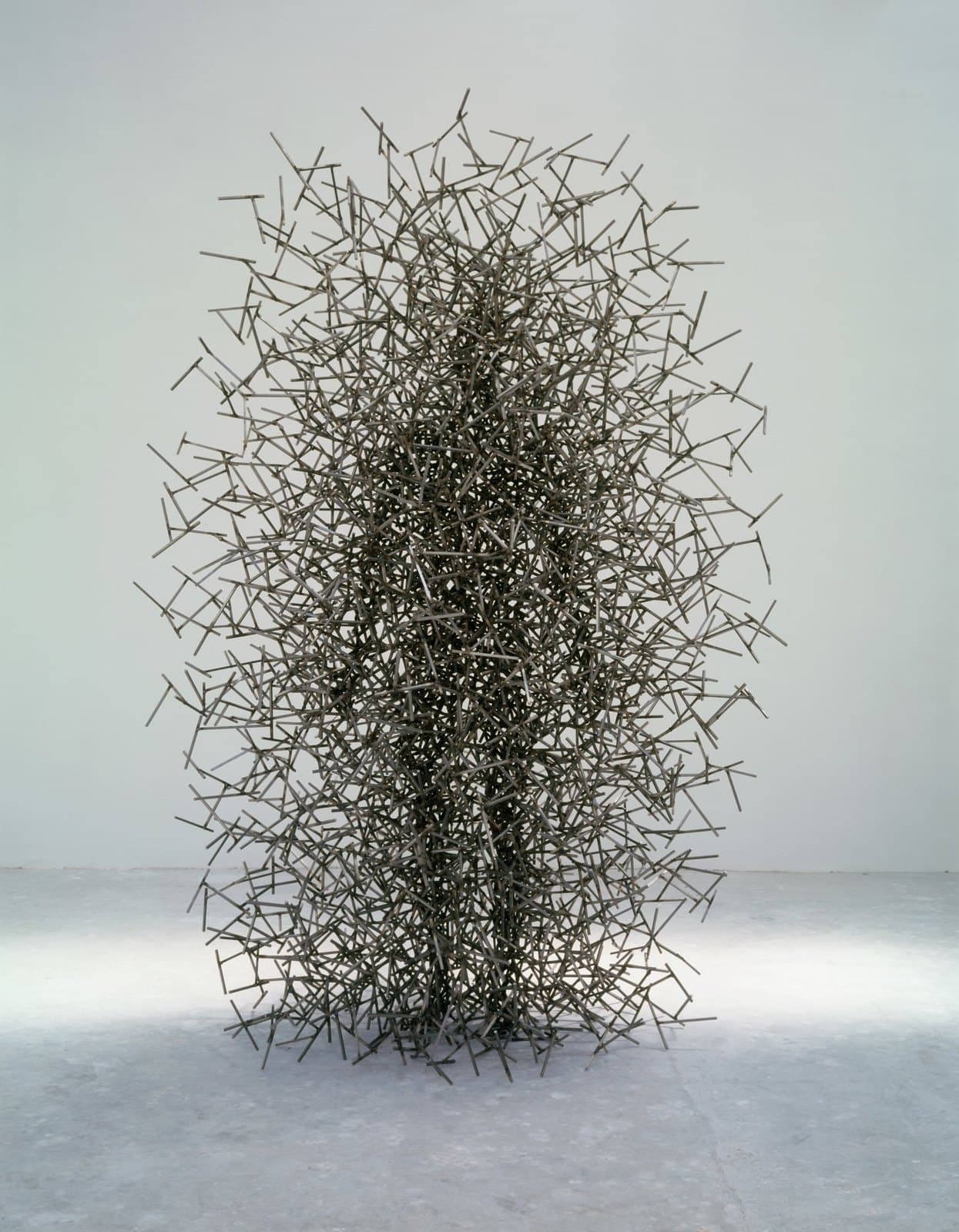 Quantum Cloud XIX