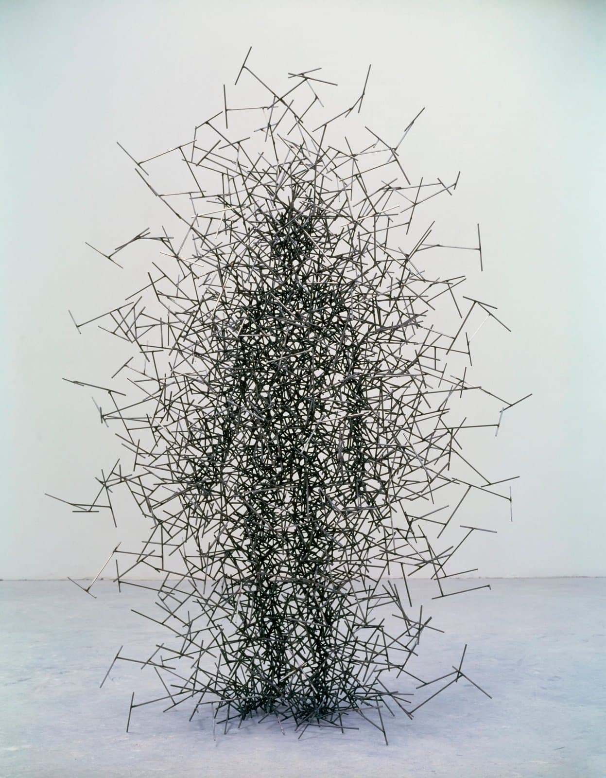 Quantum Cloud XVI