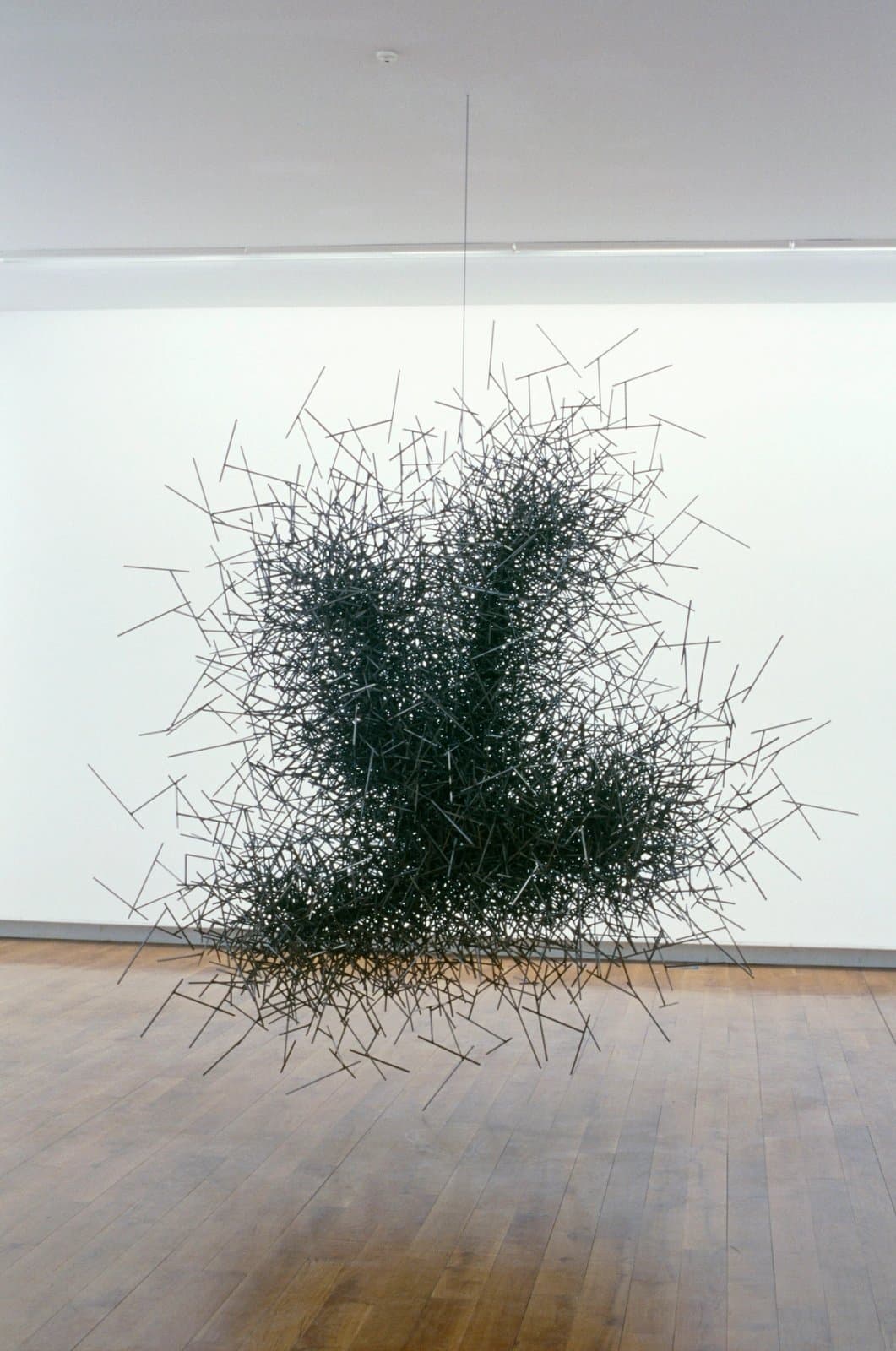 Quantum Cloud XXXVI