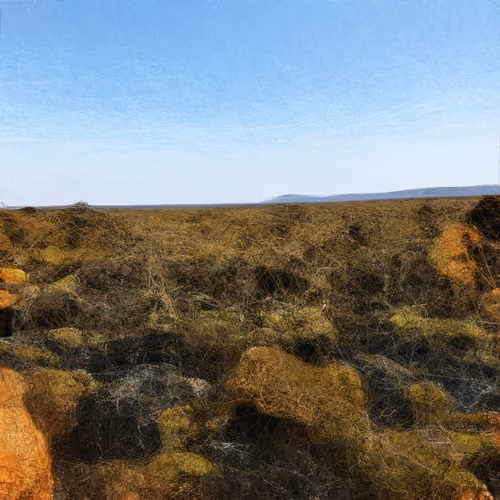 Landscapes #790 — Fall landscapes