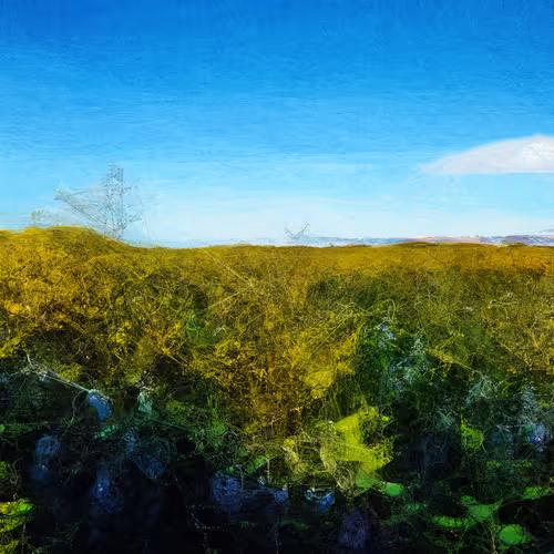 Landscapes #784 — Surreal landscapes