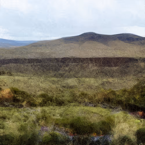 Landscapes #497 — Green landscapes