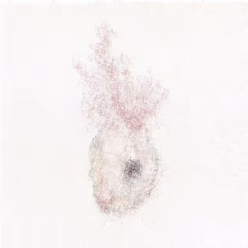 White Rabbit